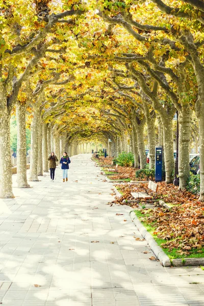 Burgos Spain 2016 Faceless People Walking Autumn Vertical Outdoor Shot — Stock Photo, Image