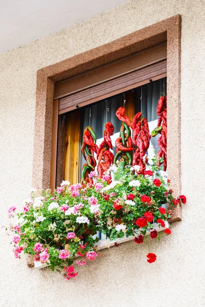 Ezcaray Rioja Spain 2016 Front View Window Fence Flower Decorations — Stock Photo, Image