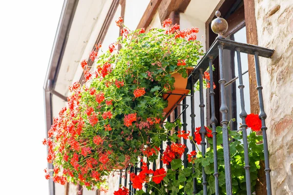 Ezcaray Rioja Spain 2016 Front View Window Fence Flower Decorations — Stock Photo, Image