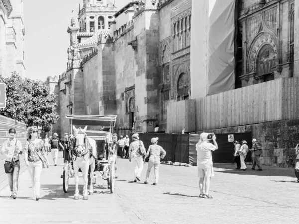 Cordoba Espanha Maio Carruagem Cavalo Maio 2015 Córdoba Espanha Centro — Fotografia de Stock