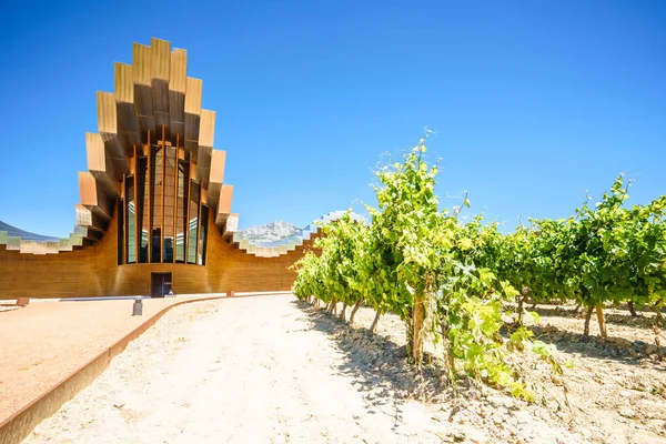 Alava Spanien August 2016 Blick Auf Das Futuristische Moderne Weingut — Stockfoto