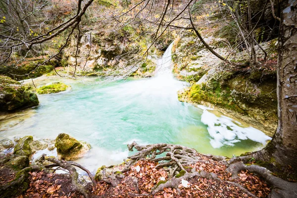 Petit Ruisseau Pittoresque Couleur Turquoise Rivière Urederra Entouré Plantes Arbres — Photo