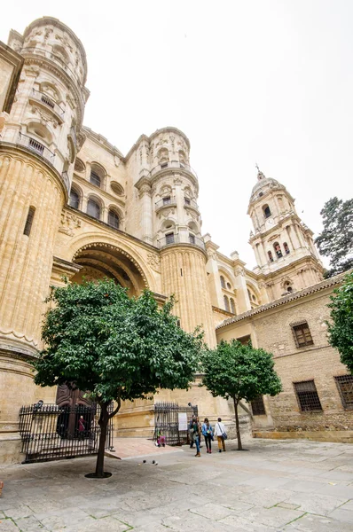 Katedrála Malaga, Španělsko — Stock fotografie