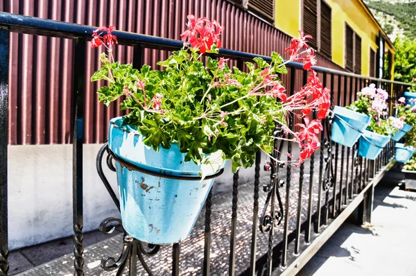 Flower pot — Stock Photo, Image