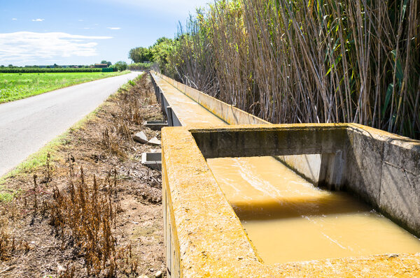 Ирригационная канава
