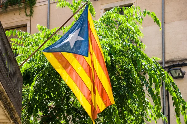 Estelada, la bandera independentista catalana — Foto de Stock