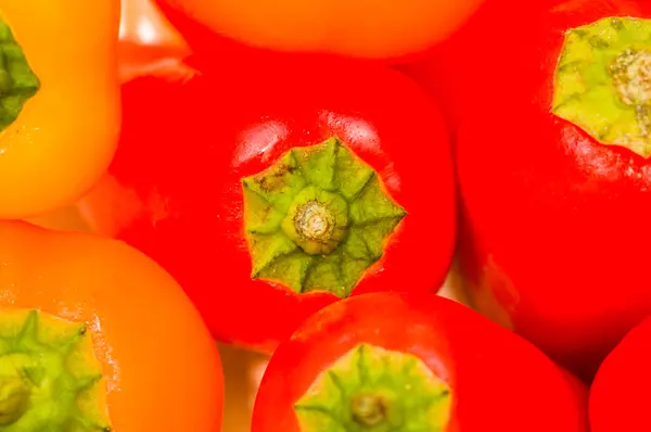 Paprika — Stock fotografie