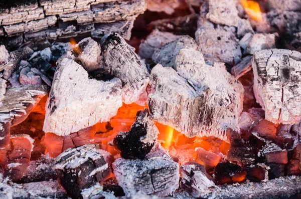 Barbacoa — Foto de Stock