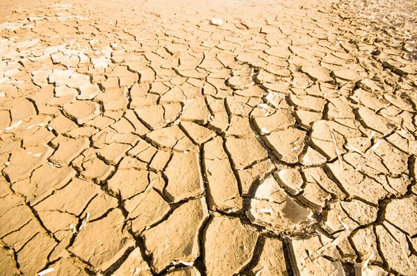 Dry ground — Stock Photo, Image