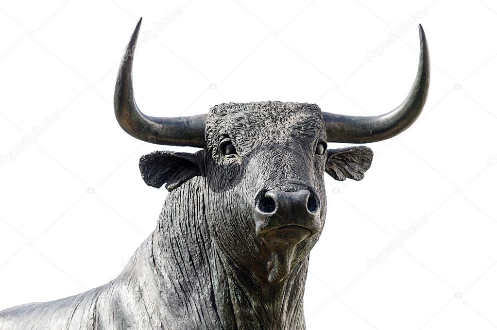 bull on white backgroud