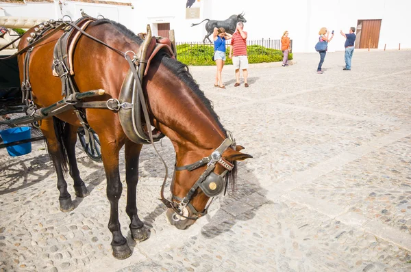 Ronda, spanien - oktober 19: ronda street on oktober 19, 2014 in r — Stockfoto