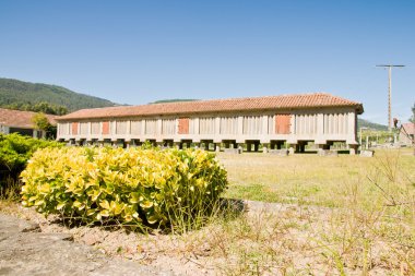 Horreo