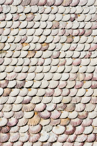 Kagylókápolna La Toja szigetén, Galícia, Spanyolország — Stock Fotó