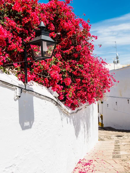 Córdoba — Foto de Stock