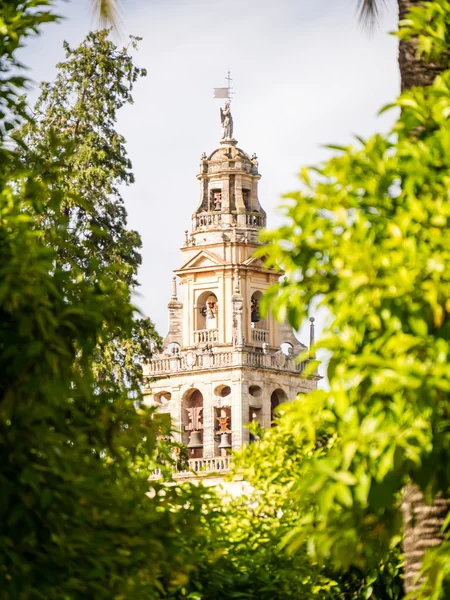 Córdoba — Fotografia de Stock