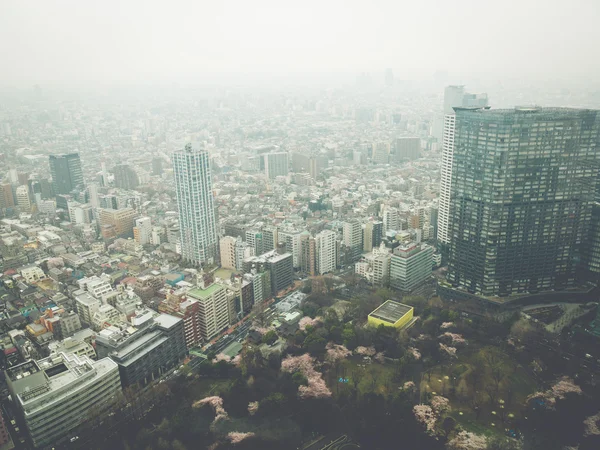 Tokio v Japonsku — Stock fotografie