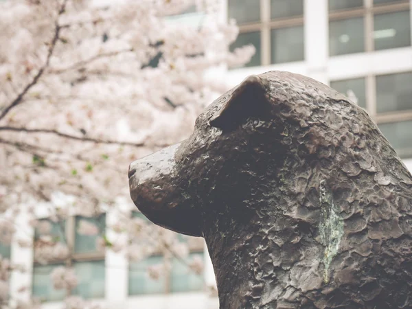 Tokio in japan — Stockfoto