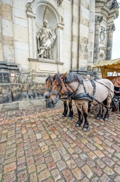 DRESDEN, GERMANY - SEPTEMBER 23: Carriage on the city street  on September 23, 2013 in Dresden, Germany. Dresden is the capital of Saxony. — Stockfoto