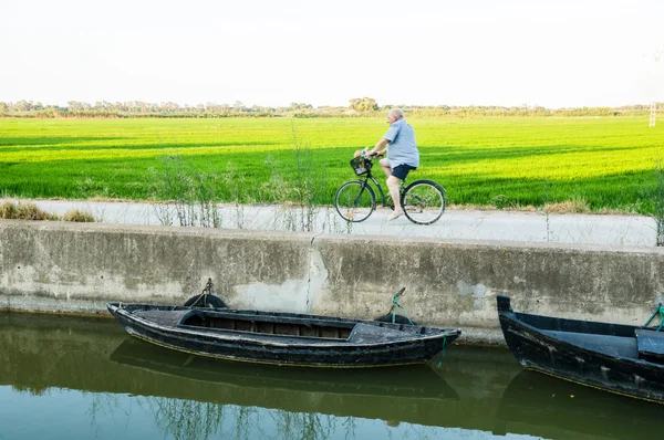 Valencia, Hiszpania - 14 lipca: Albufera na 14 lipca 2014 w Valencia — Zdjęcie stockowe