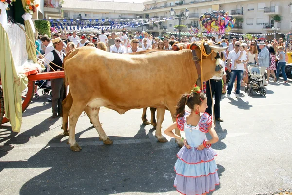 TORREMOLINOS, SPAIN - SEPTEMBER 25 — Zdjęcie stockowe