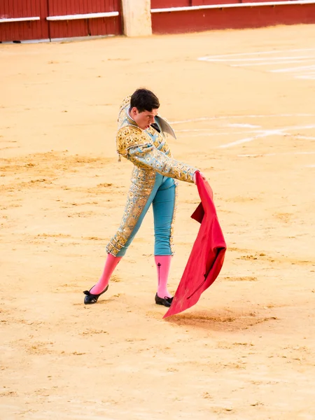 MALAGA, SPAIN - AUGUST 12 — Stock Photo, Image