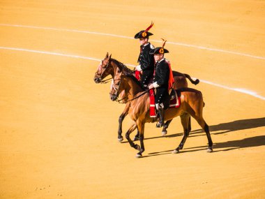 Malaga, İspanya - 16 Ağustos