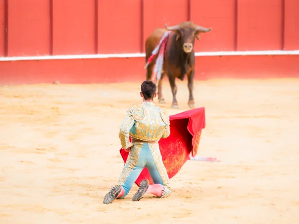 MALAGA, SPAIN - AUGUST 12 — 图库照片