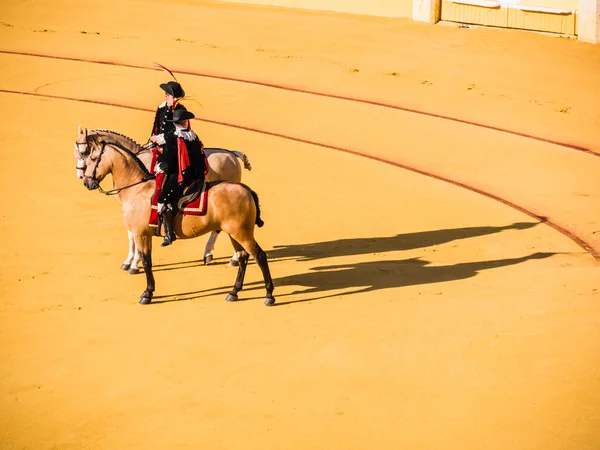 MALAGA, SPAGNA - 18 AGOSTO — Foto Stock