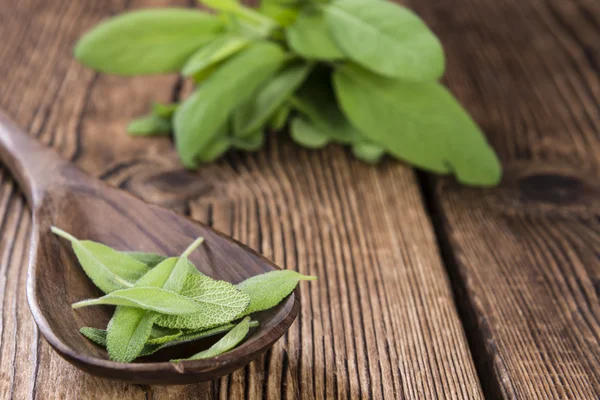 Foglie di salvia fresca — Foto Stock