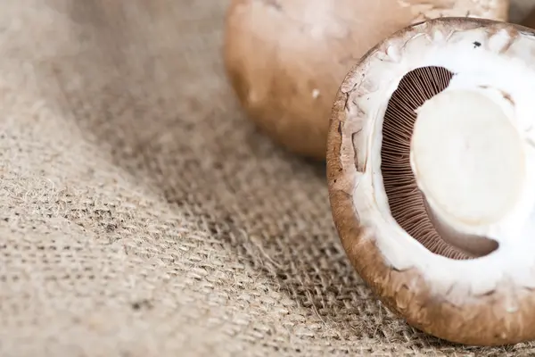 Some fresh Mushrooms — Stock Photo, Image