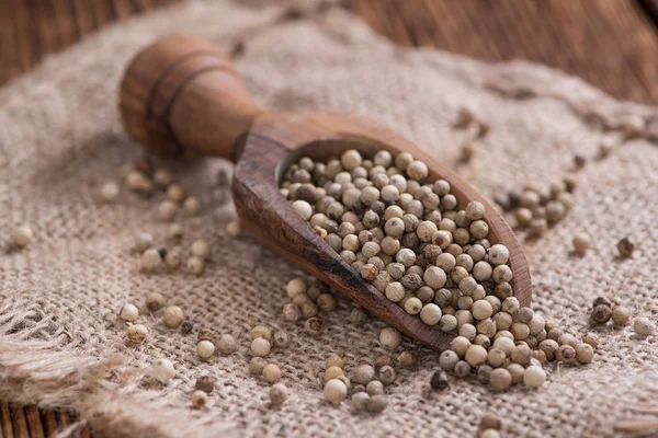 Algunos granos de pimienta blanca — Foto de Stock