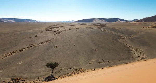 Дюна поблизу Sossusvlei в пустелею Наміб — стокове фото