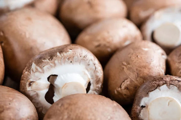 Fresh Mushrooms on table — Stock Photo, Image