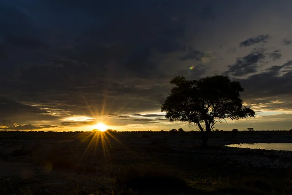 Захід сонця в Африці з за waterhole — стокове фото