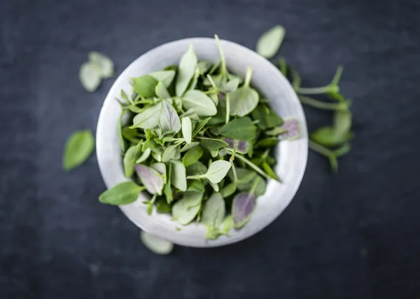 Schieferplatte mit frischem Thymian — Stockfoto