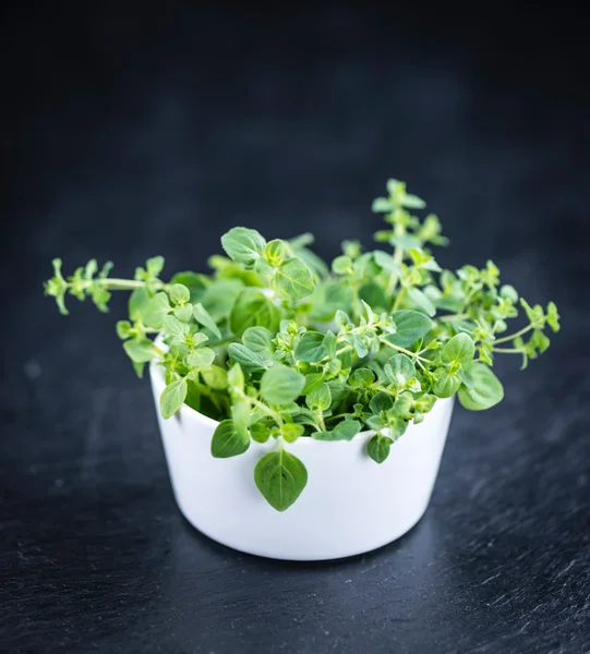 Frischer Oregano auf einer Schieferplatte — Stockfoto