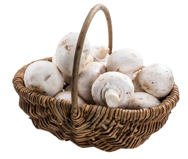 Portion of fresh Mushrooms — Stock Photo, Image