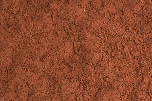 Ξηρά σκόνη κακάο — Φωτογραφία Αρχείου