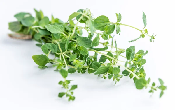 Frische Oregano-Blätter — Stockfoto