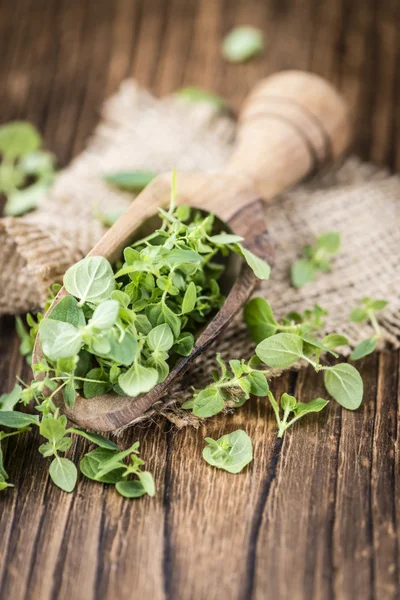 Fresh Oregano on table — Stock Photo, Image