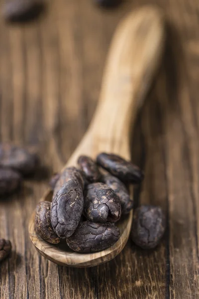 Granos de cacao tostados — Foto de Stock