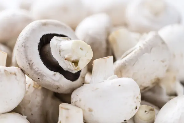 Porzione di Funghi bianchi — Foto Stock