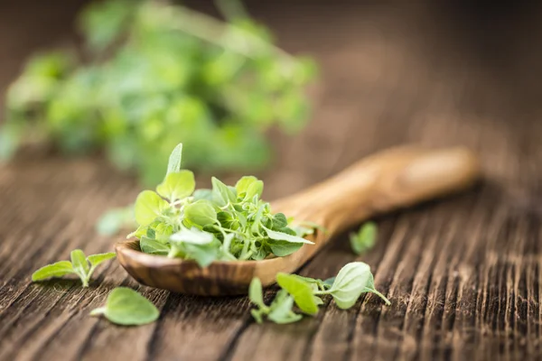 Fresh Oregano on wooden background — Stock Photo, Image