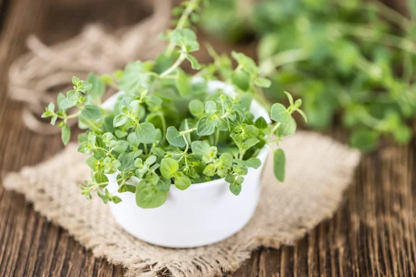 Fresh Oregano in bowl — Stock Photo, Image