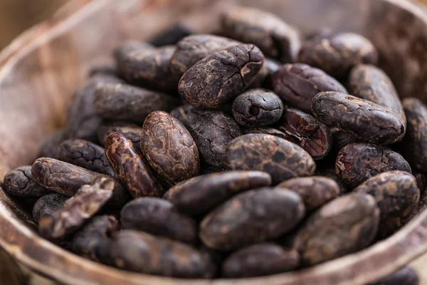 Granos de cacao tostados —  Fotos de Stock