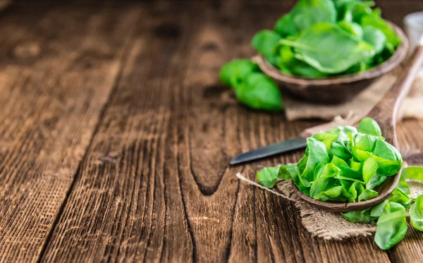 Fresh Basil on table — Stock Photo, Image