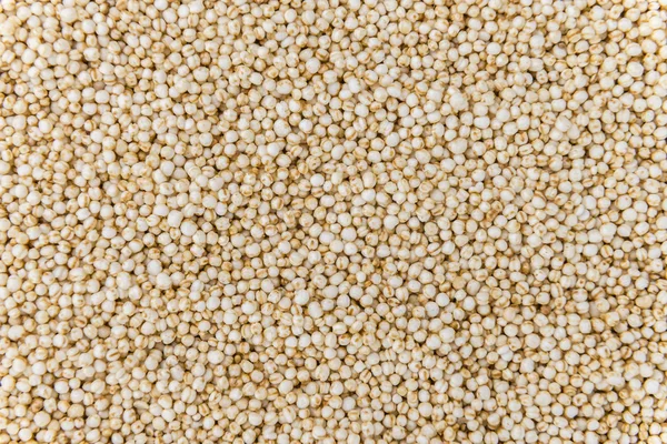 Portion of puffed Quinoa — Stock Photo, Image