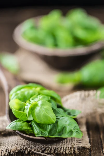 Heap of fresh Basil — Stock Photo, Image