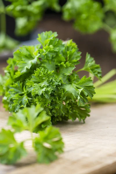 Some fresh Parsley on table — Stock Photo, Image