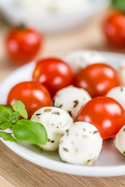 Tomaten und Mozzarella mit frischem Basilikum — Stockfoto